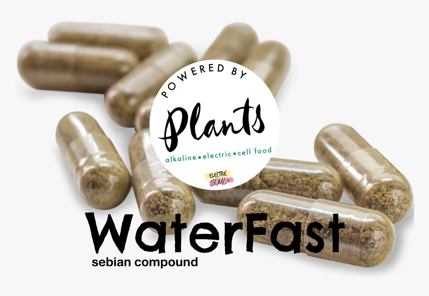 Water Fast Support